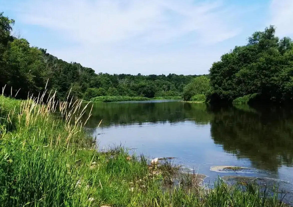 Walter Bean Trail located in Ward 3, Kitchener Ontario